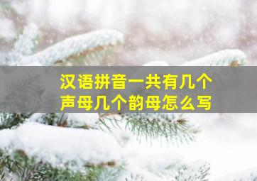 汉语拼音一共有几个声母几个韵母怎么写