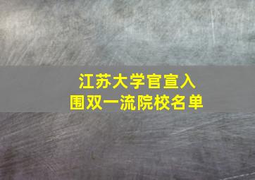 江苏大学官宣入围双一流院校名单