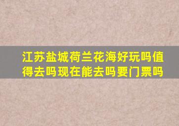 江苏盐城荷兰花海好玩吗值得去吗现在能去吗要门票吗