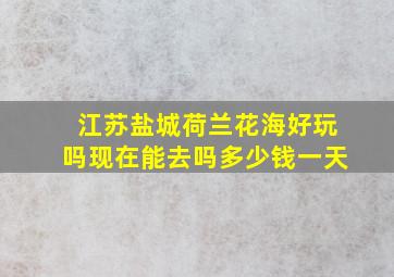 江苏盐城荷兰花海好玩吗现在能去吗多少钱一天