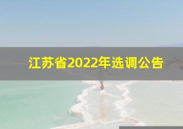 江苏省2022年选调公告