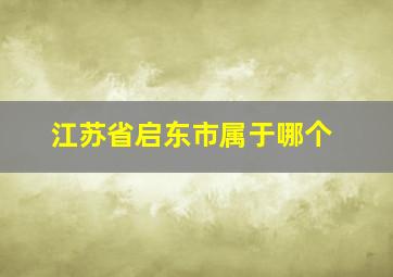 江苏省启东市属于哪个