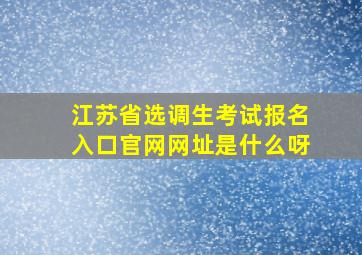 江苏省选调生考试报名入口官网网址是什么呀