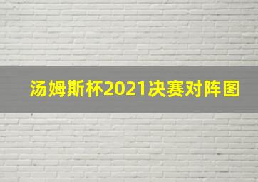 汤姆斯杯2021决赛对阵图