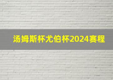 汤姆斯杯尤伯杯2024赛程