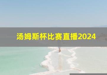 汤姆斯杯比赛直播2024