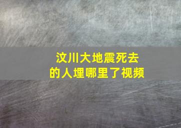 汶川大地震死去的人埋哪里了视频