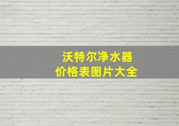 沃特尔净水器价格表图片大全