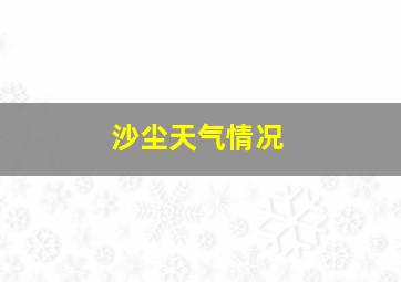 沙尘天气情况