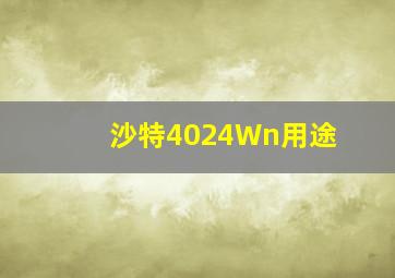 沙特4024Wn用途