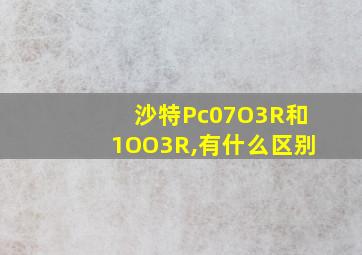 沙特Pc07O3R和1OO3R,有什么区别