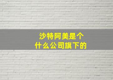 沙特阿美是个什么公司旗下的