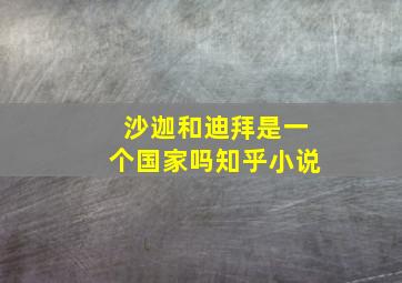 沙迦和迪拜是一个国家吗知乎小说