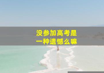 没参加高考是一种遗憾么嘛