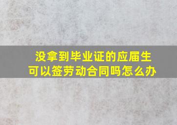 没拿到毕业证的应届生可以签劳动合同吗怎么办