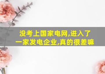 没考上国家电网,进入了一家发电企业,真的很差嘛