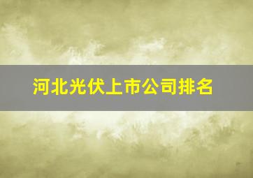 河北光伏上市公司排名