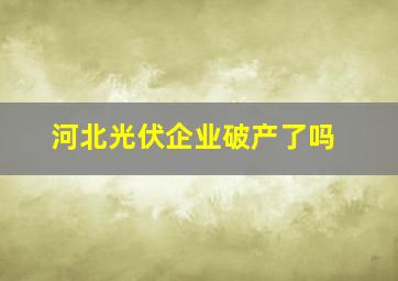 河北光伏企业破产了吗