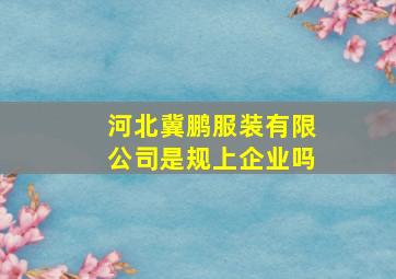 河北冀鹏服装有限公司是规上企业吗