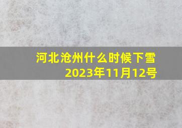 河北沧州什么时候下雪2023年11月12号