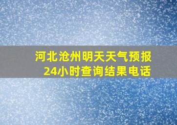 河北沧州明天天气预报24小时查询结果电话