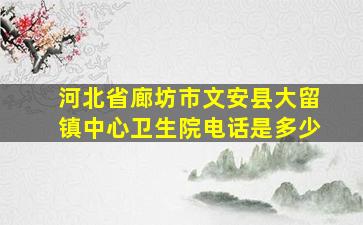 河北省廊坊市文安县大留镇中心卫生院电话是多少