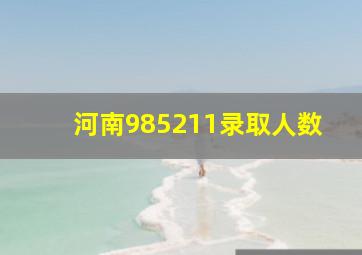 河南985211录取人数