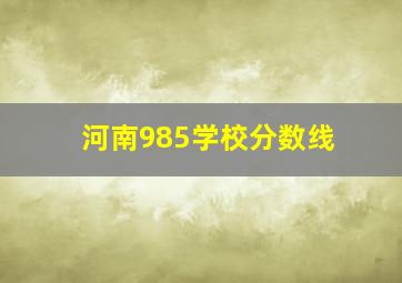 河南985学校分数线