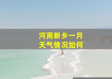 河南新乡一月天气情况如何