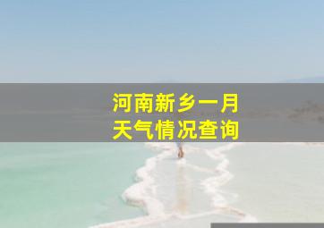 河南新乡一月天气情况查询