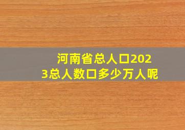 河南省总人口2023总人数口多少万人呢