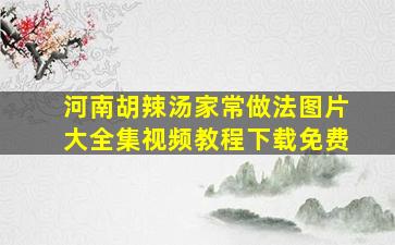 河南胡辣汤家常做法图片大全集视频教程下载免费