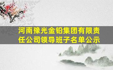 河南豫光金铅集团有限责任公司领导班子名单公示