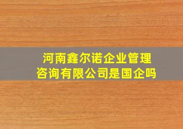 河南鑫尔诺企业管理咨询有限公司是国企吗