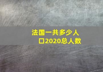 法国一共多少人口2020总人数