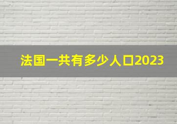 法国一共有多少人口2023