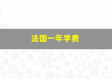 法国一年学费