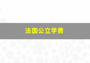 法国公立学费