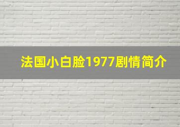 法国小白脸1977剧情简介