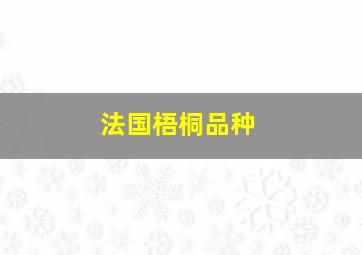 法国梧桐品种