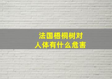 法国梧桐树对人体有什么危害