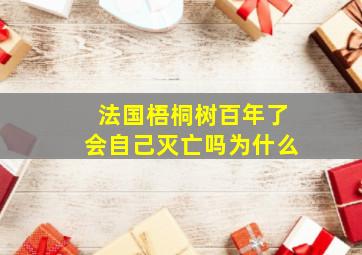 法国梧桐树百年了会自己灭亡吗为什么