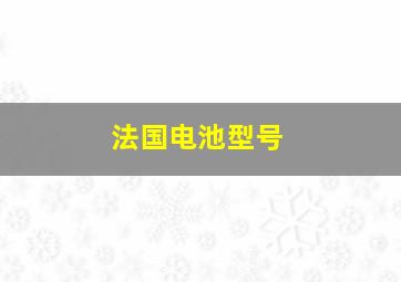 法国电池型号