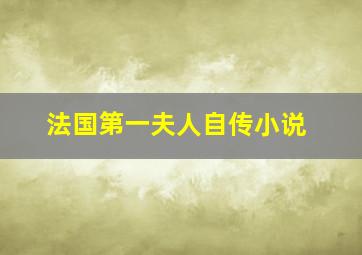 法国第一夫人自传小说