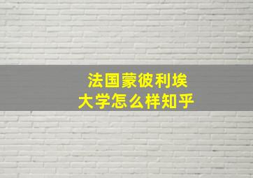 法国蒙彼利埃大学怎么样知乎