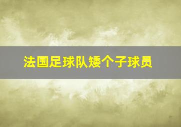 法国足球队矮个子球员