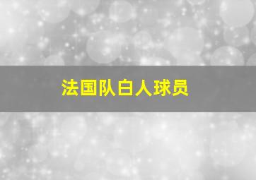 法国队白人球员