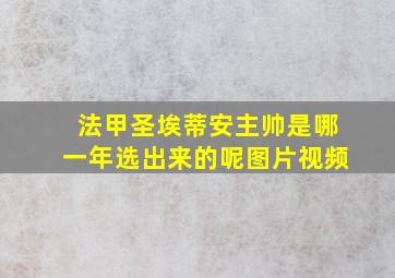 法甲圣埃蒂安主帅是哪一年选出来的呢图片视频