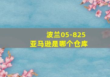 波兰05-825亚马逊是哪个仓库