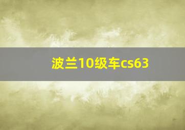 波兰10级车cs63